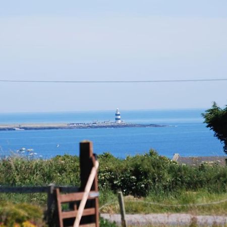 Beautiful One Bed With Stunning Sea View Lägenhet Waterford Exteriör bild