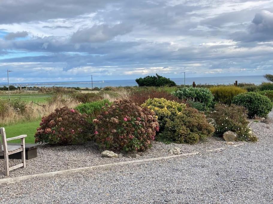 Beautiful One Bed With Stunning Sea View Lägenhet Waterford Exteriör bild