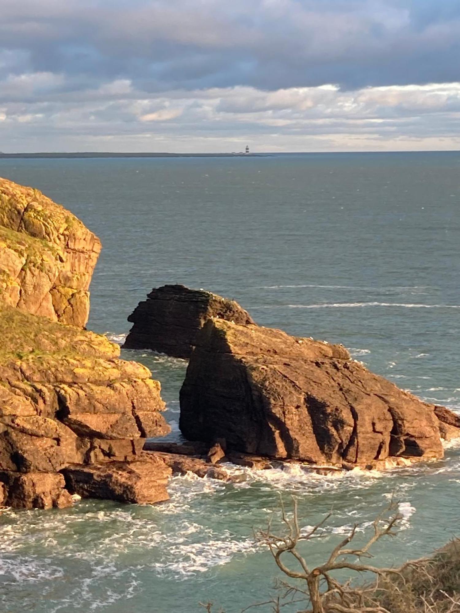 Beautiful One Bed With Stunning Sea View Lägenhet Waterford Exteriör bild